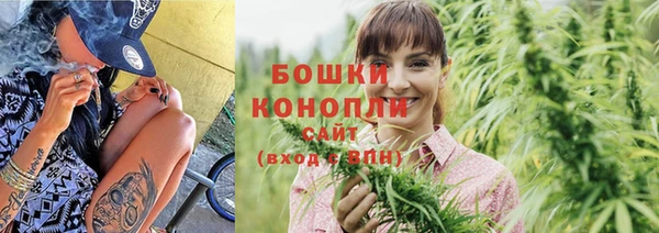 трава Дмитриев