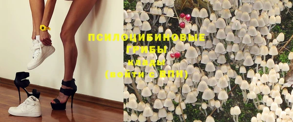 трава Дмитриев