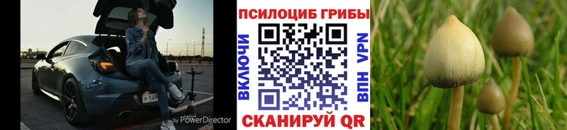 Галлюциногенные грибы Cubensis Купить где Судак